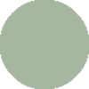 cashew green
