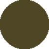 Crocodile Green