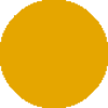 dijon yellow