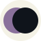 
        purple black
        