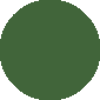 stoic green
